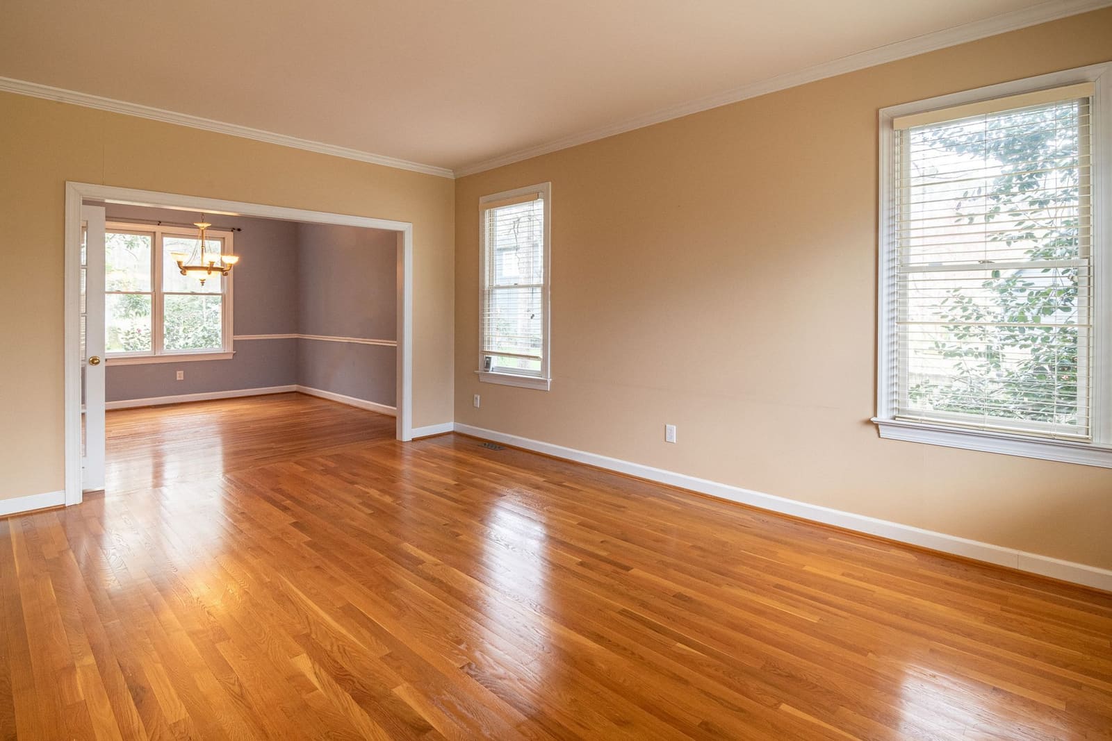 Sunlit living space with newly installed hardwood floors